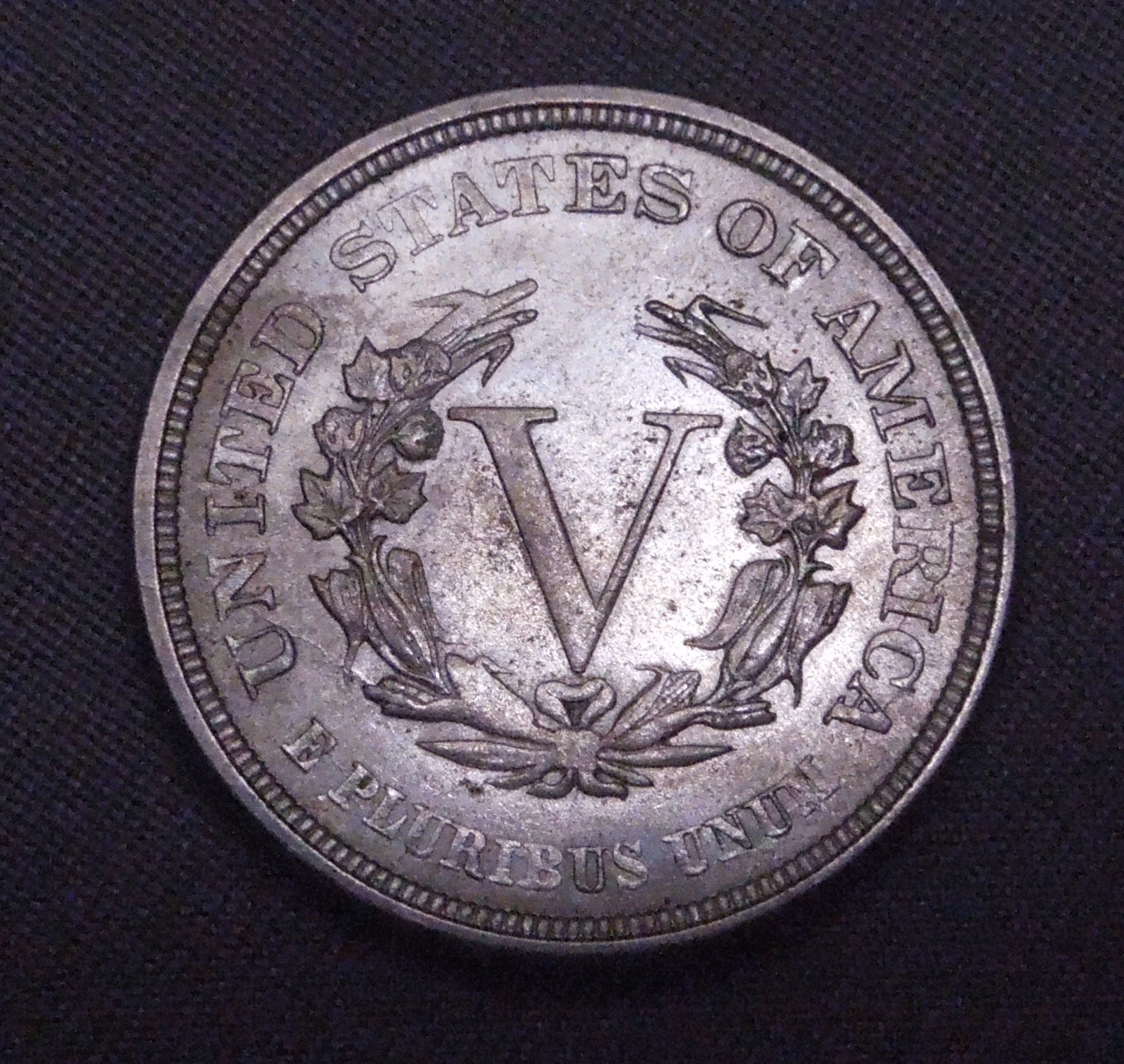 DSCN2549.jpg