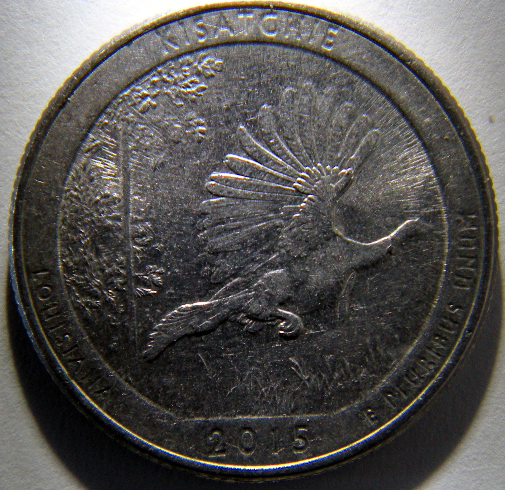 DSCN2556.JPG