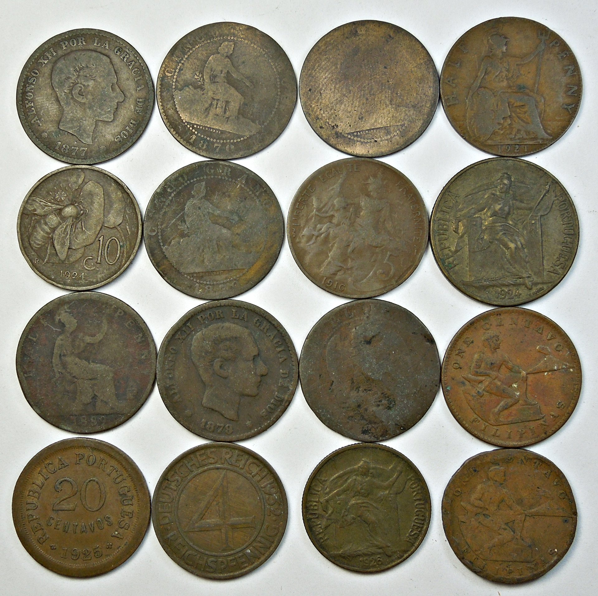 DSCN2559.JPG