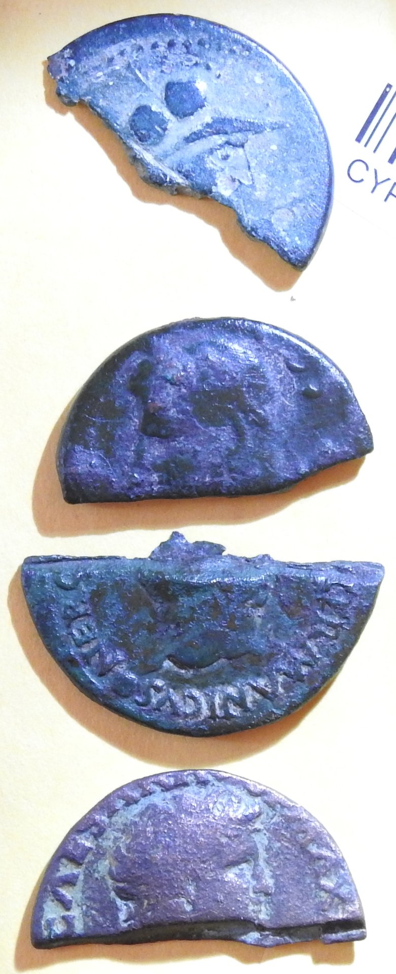 DSCN2599.JPG