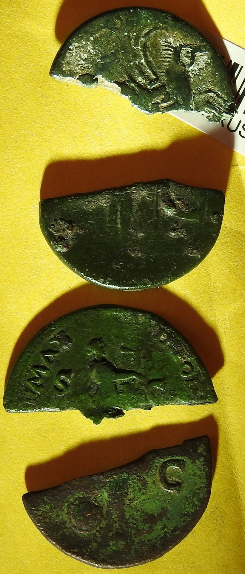DSCN2610.JPG