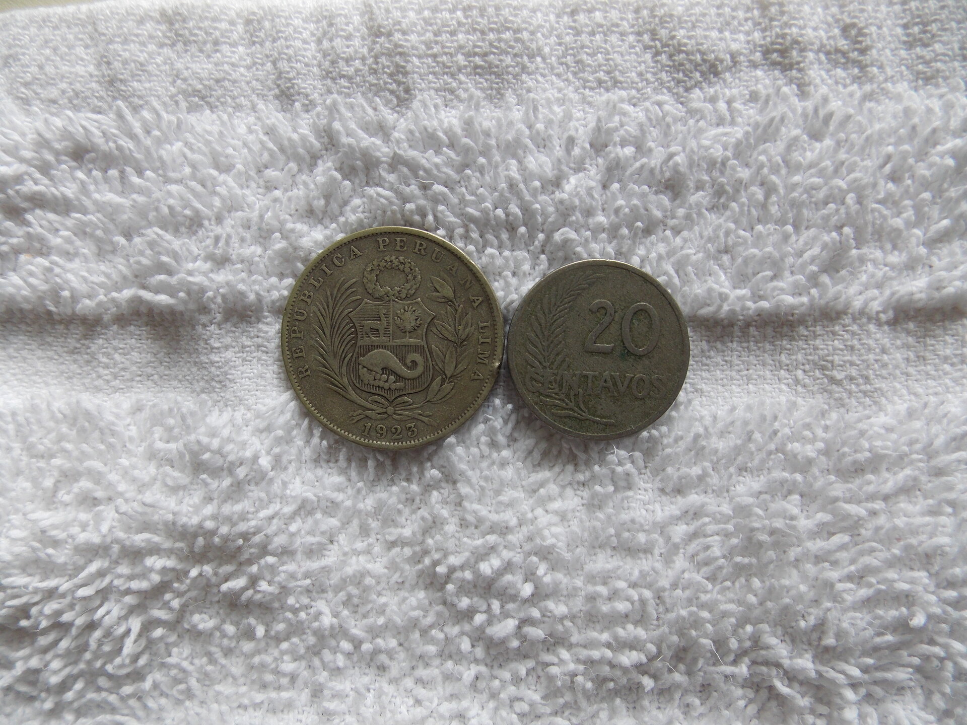 DSCN2619.JPG
