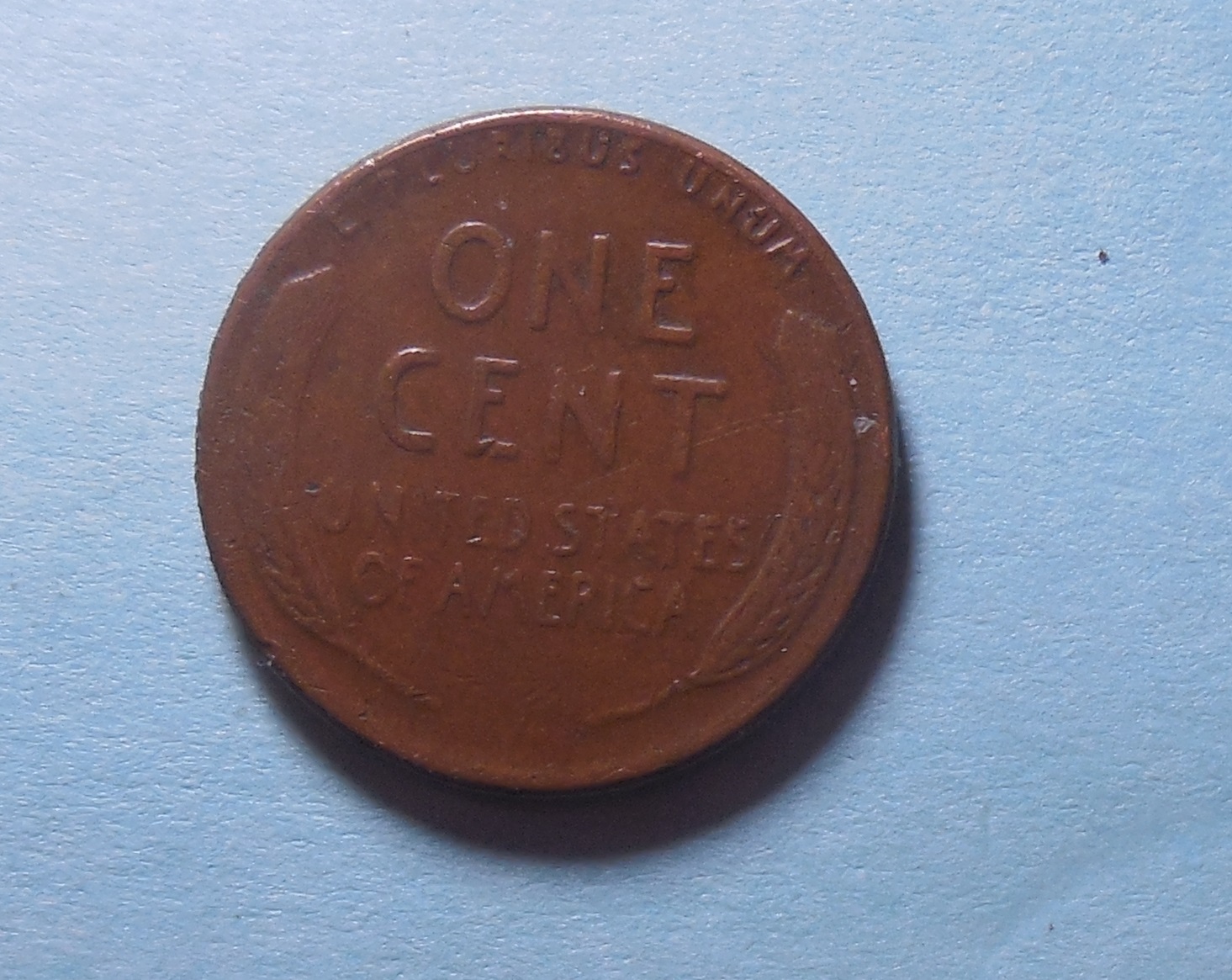 DSCN2687.JPG