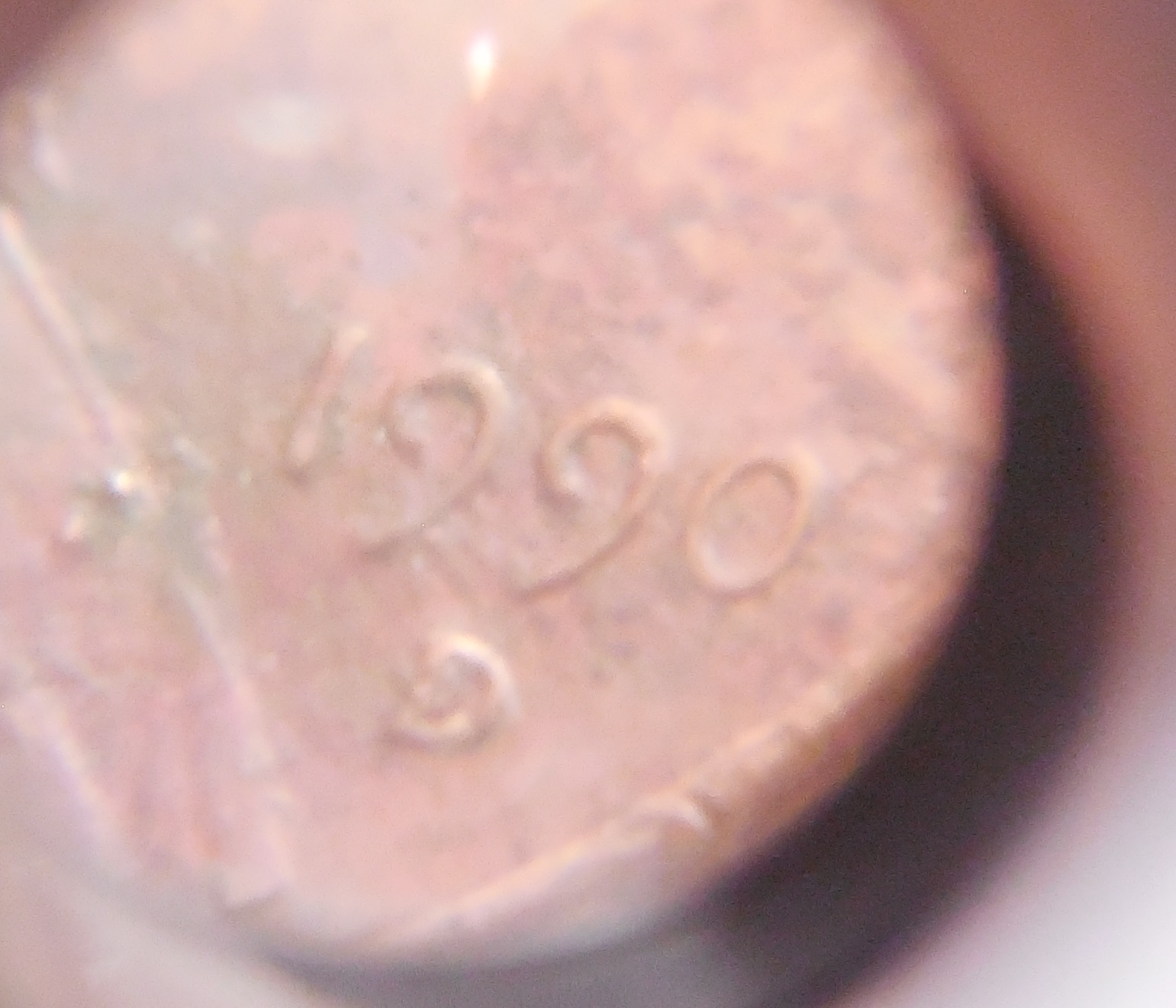 DSCN2731.JPG