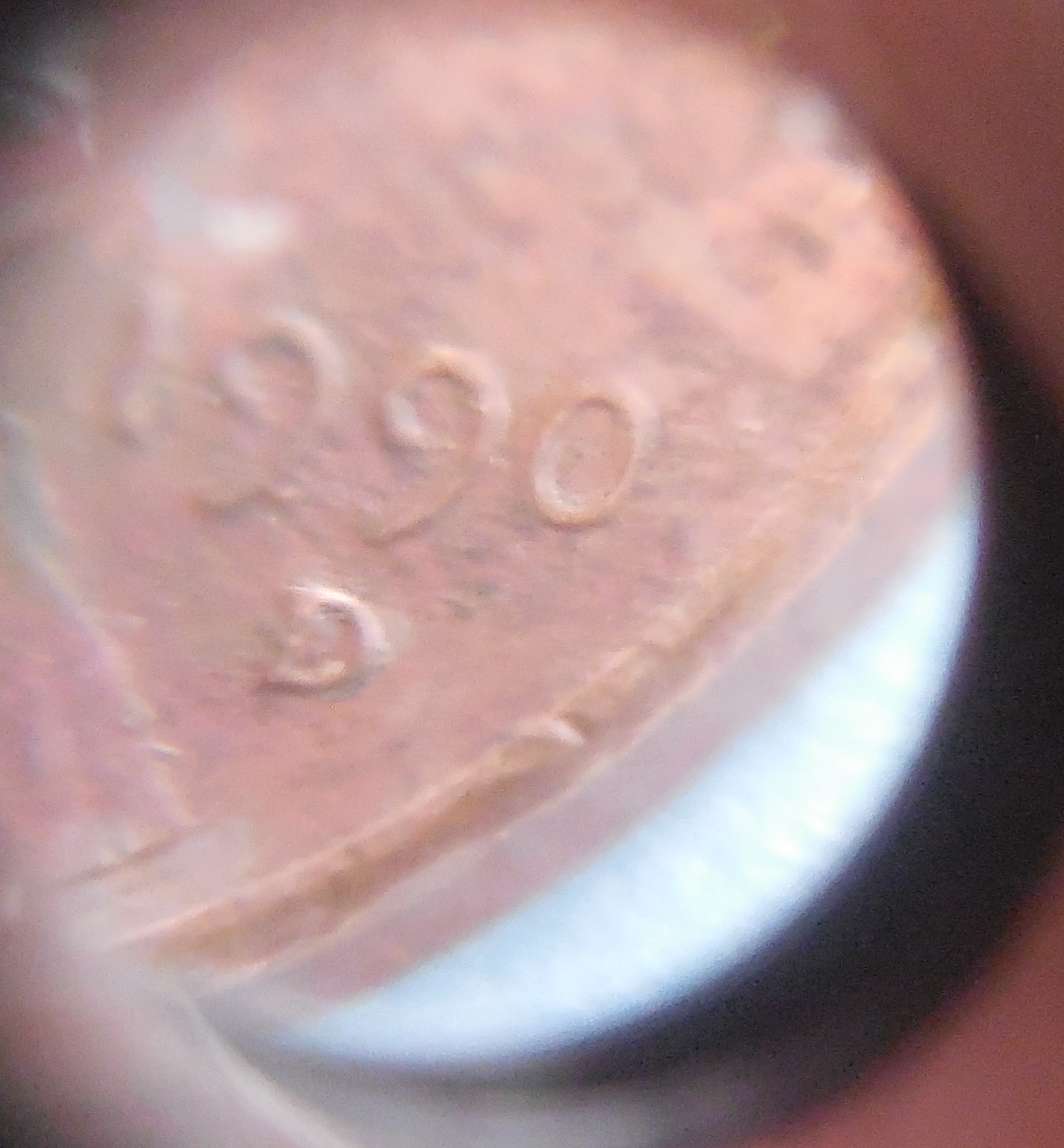 DSCN2732.JPG