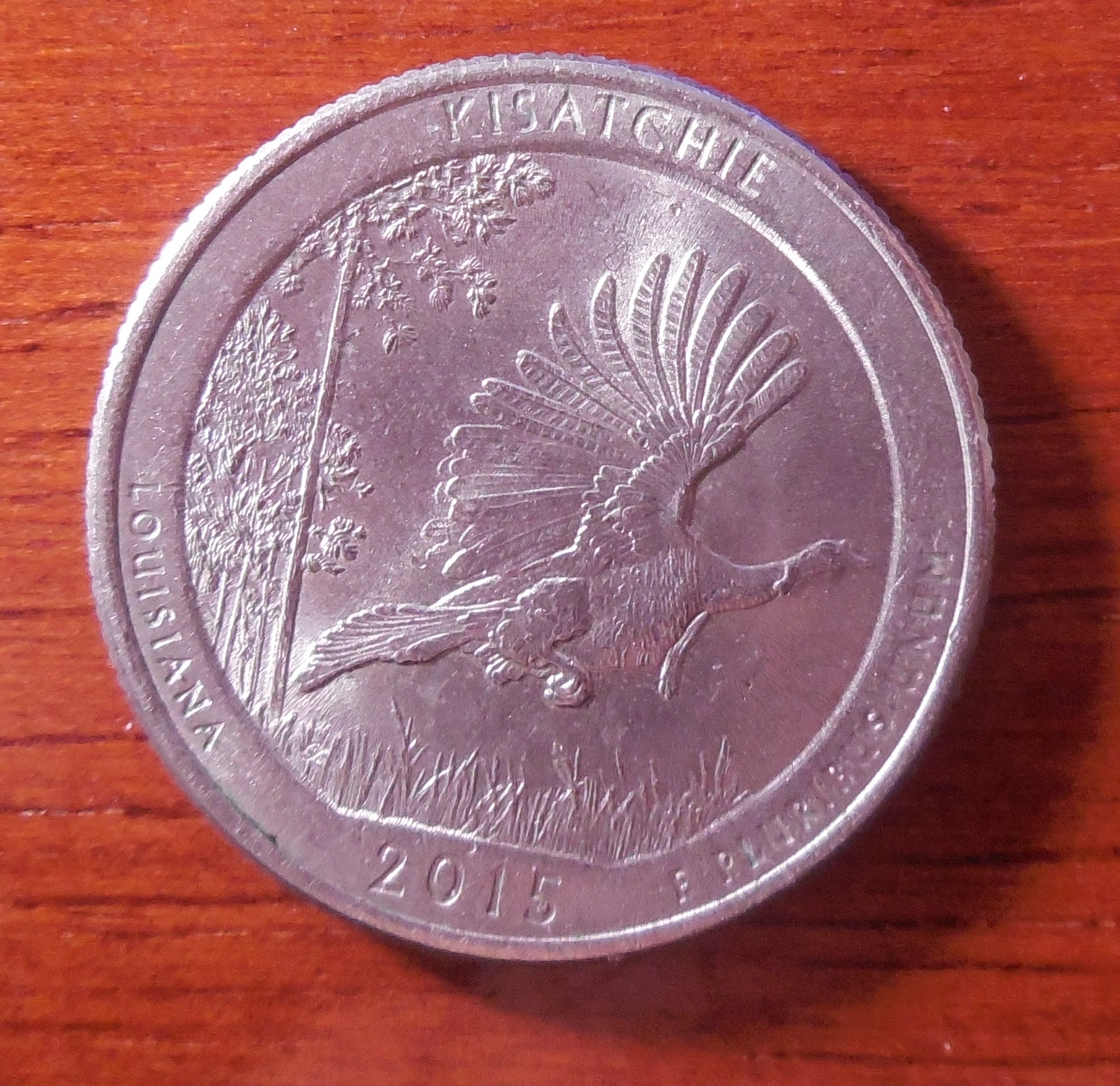 DSCN2745.JPG