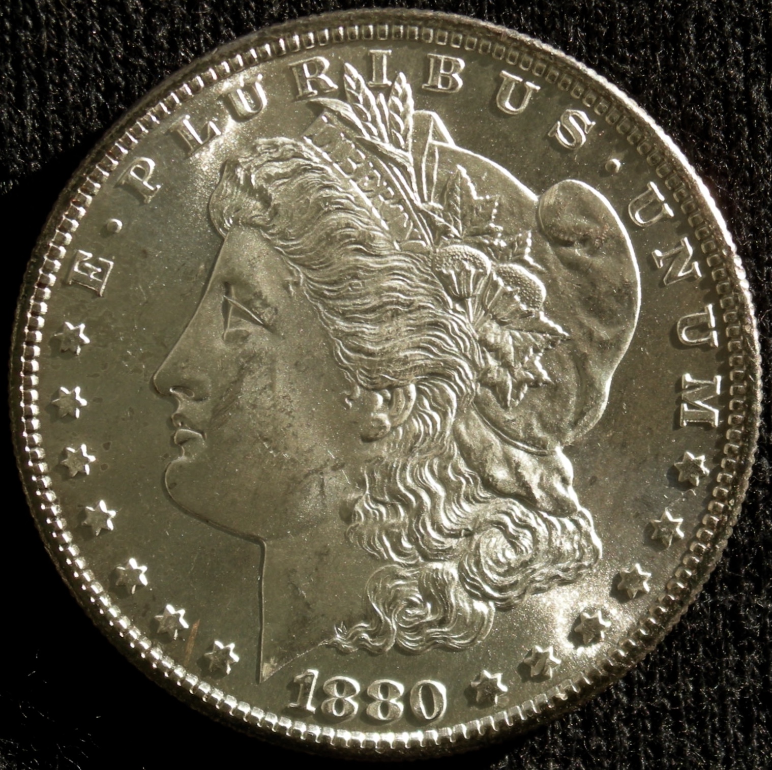 DSCN2806.jpg