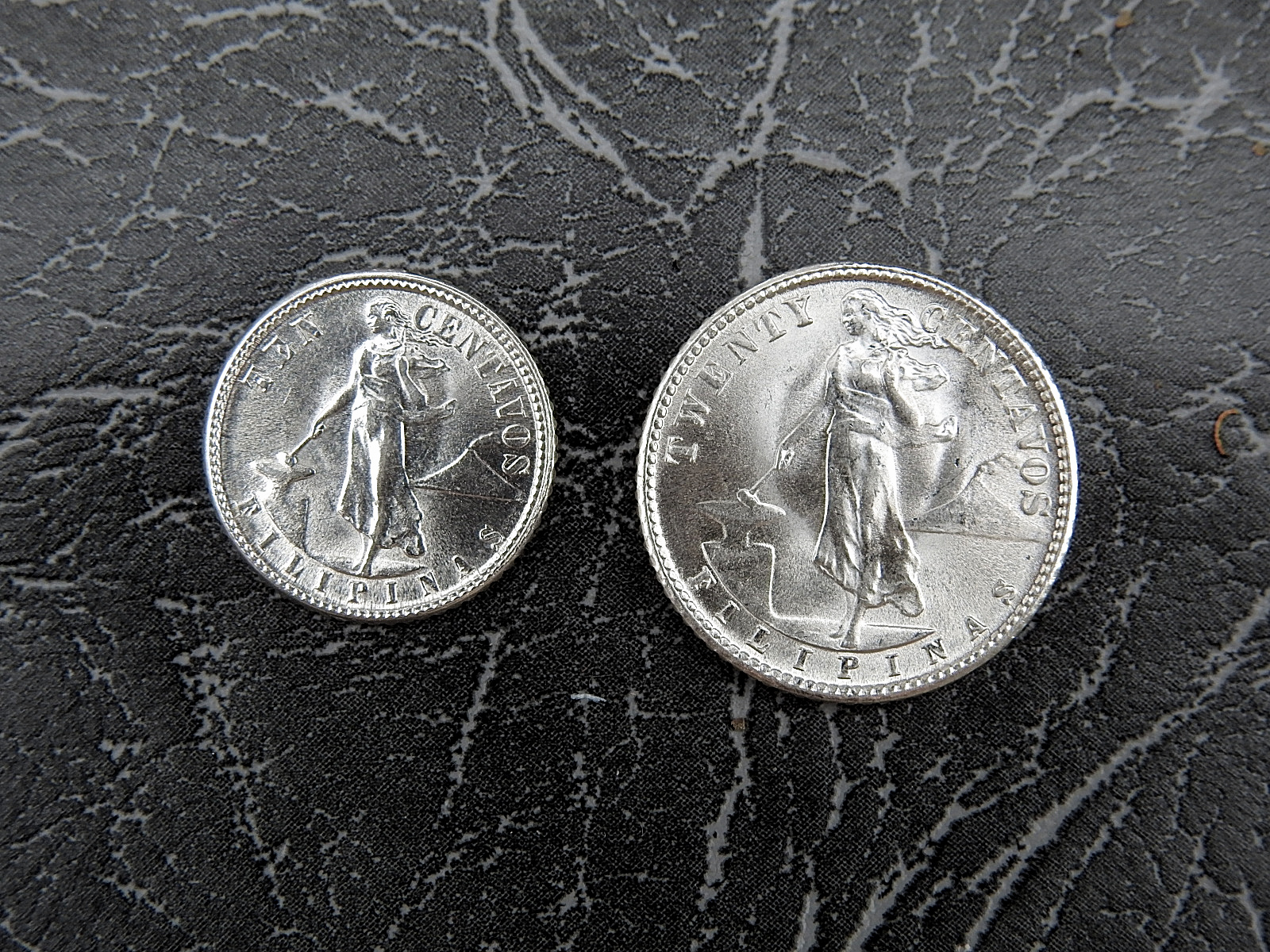DSCN2842.JPG