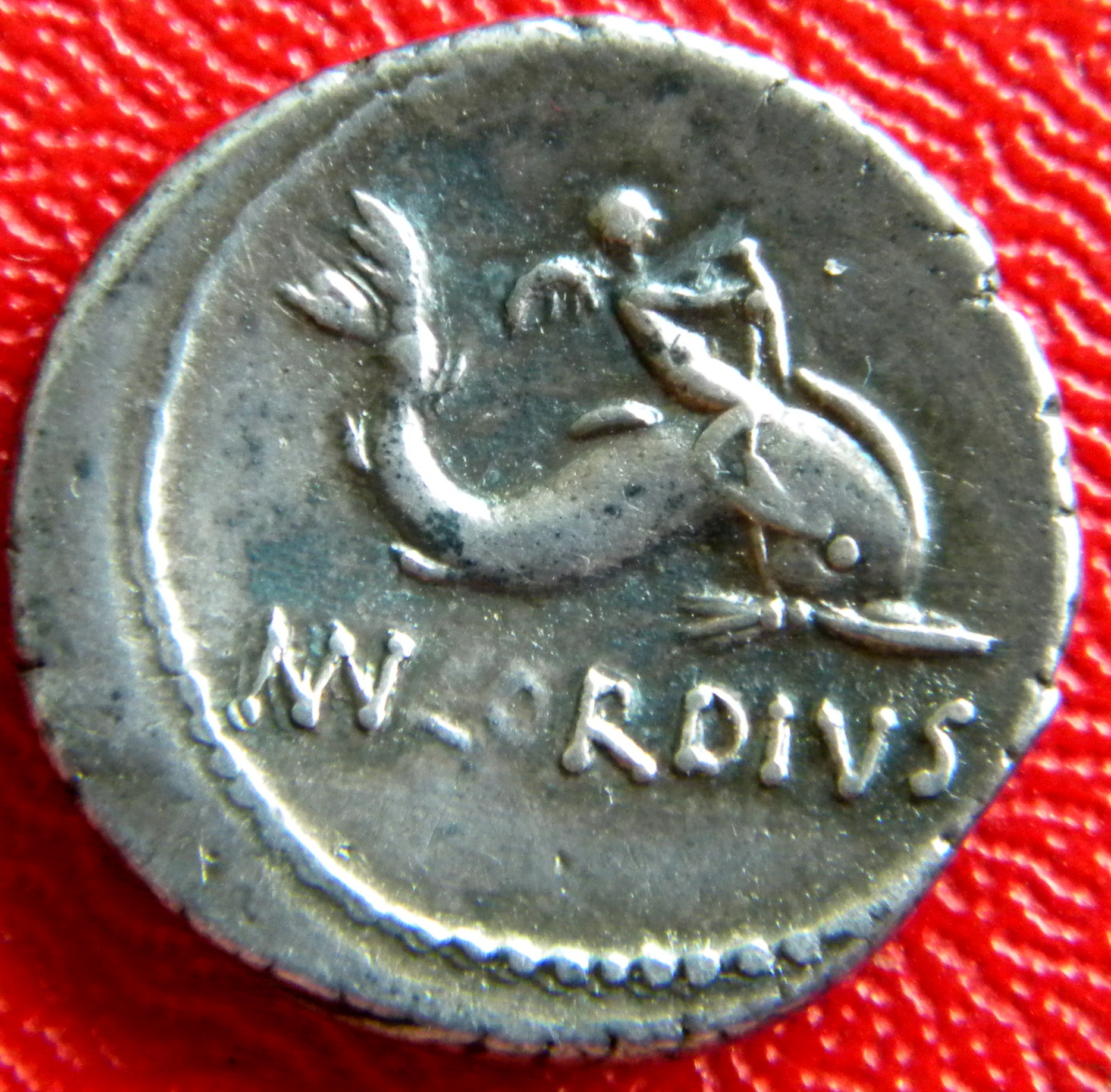DSCN3012.JPG