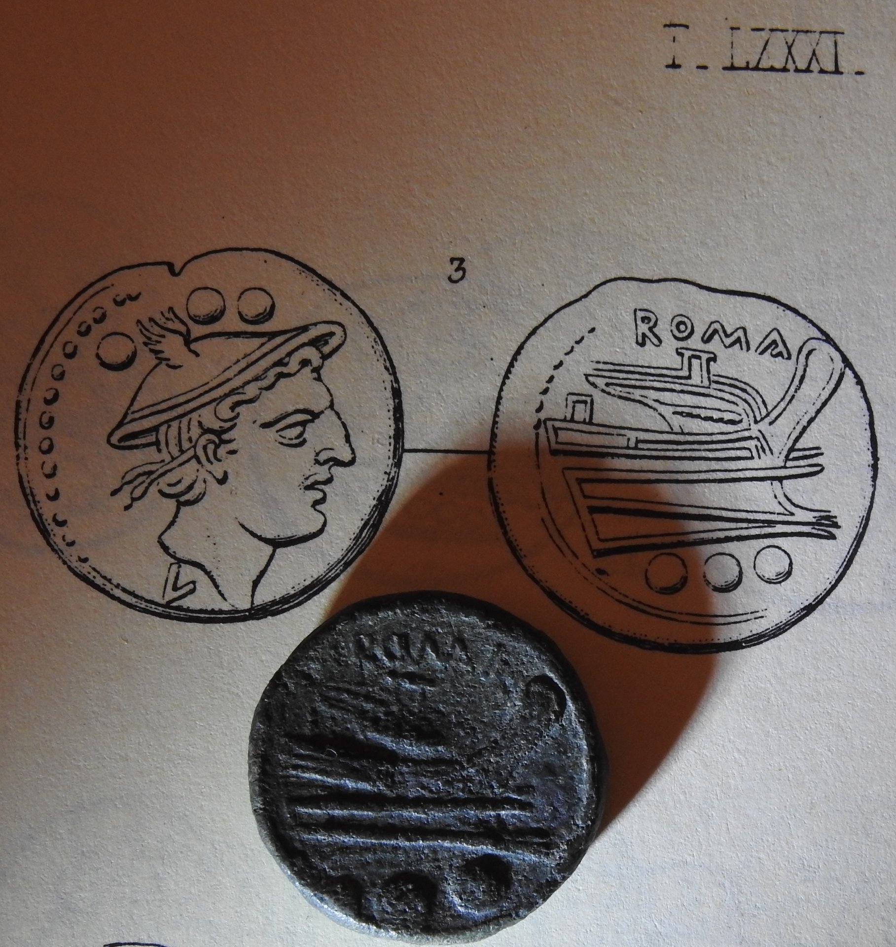 DSCN3034.JPG
