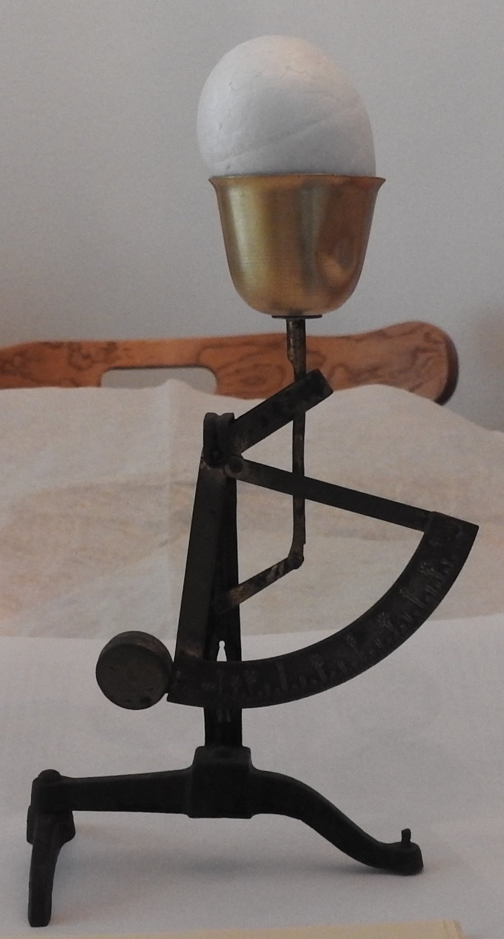 DSCN3037 egg scale.JPG