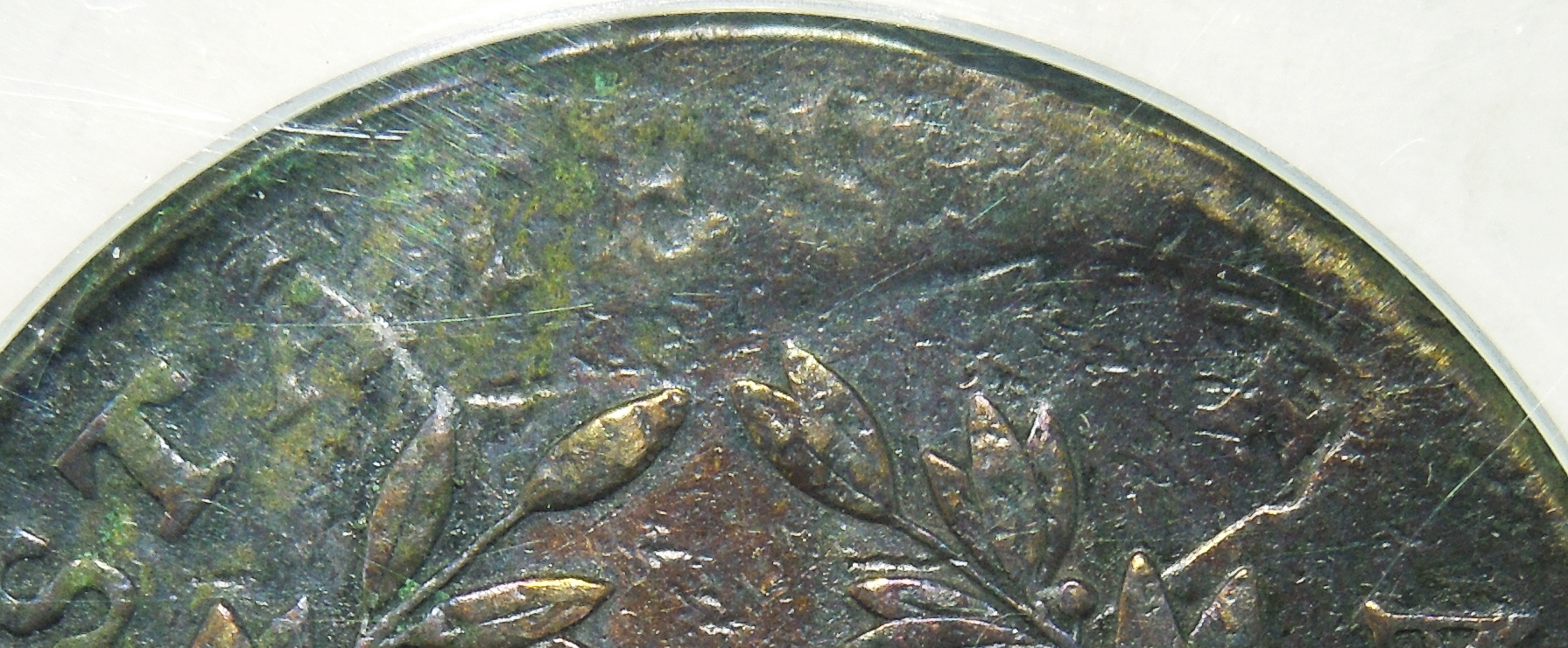 DSCN3146.JPG