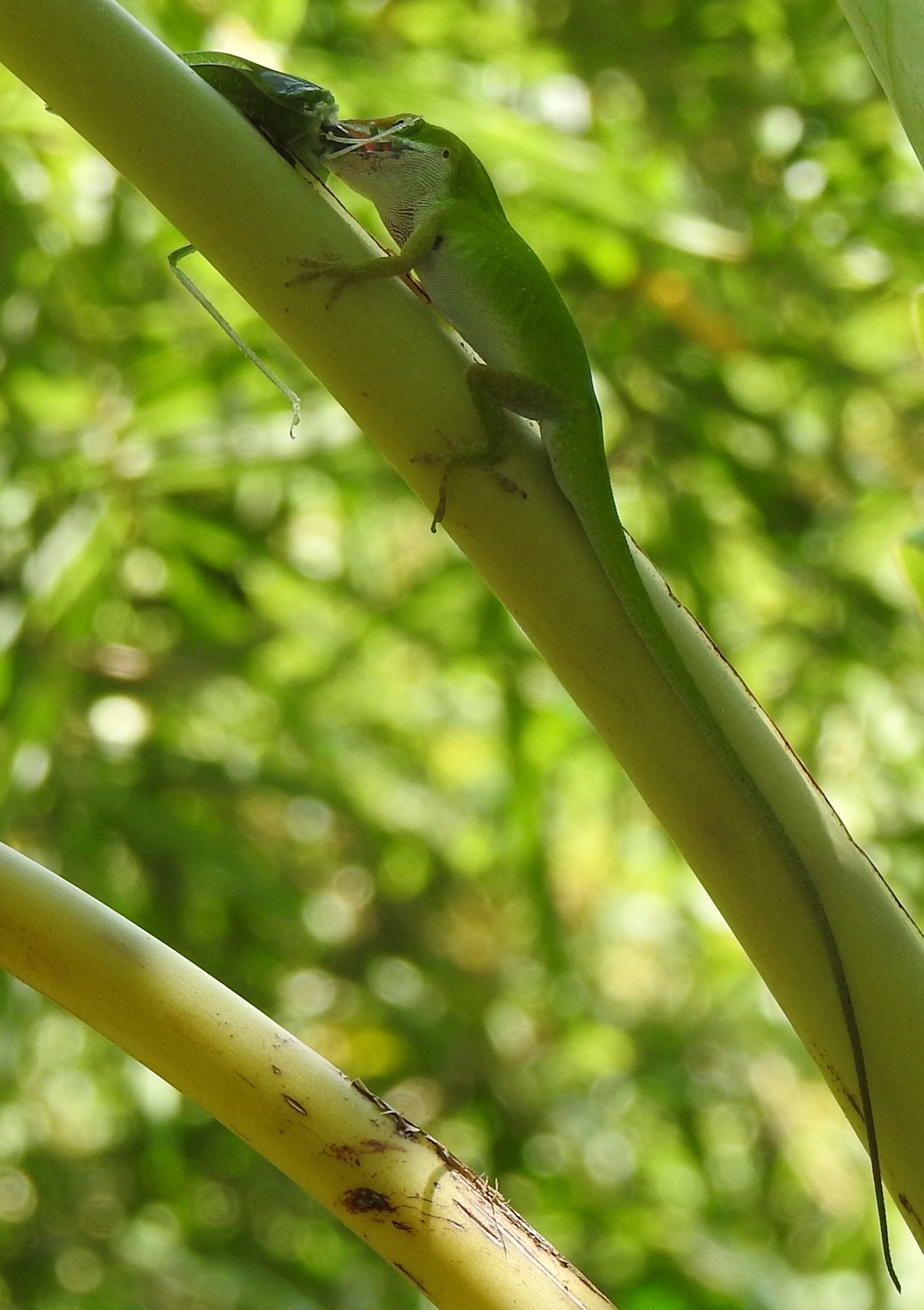 DSCN3174.JPG
