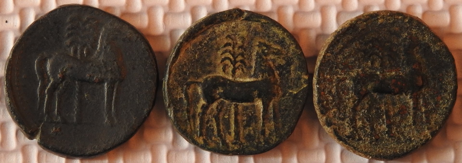 DSCN3182.JPG