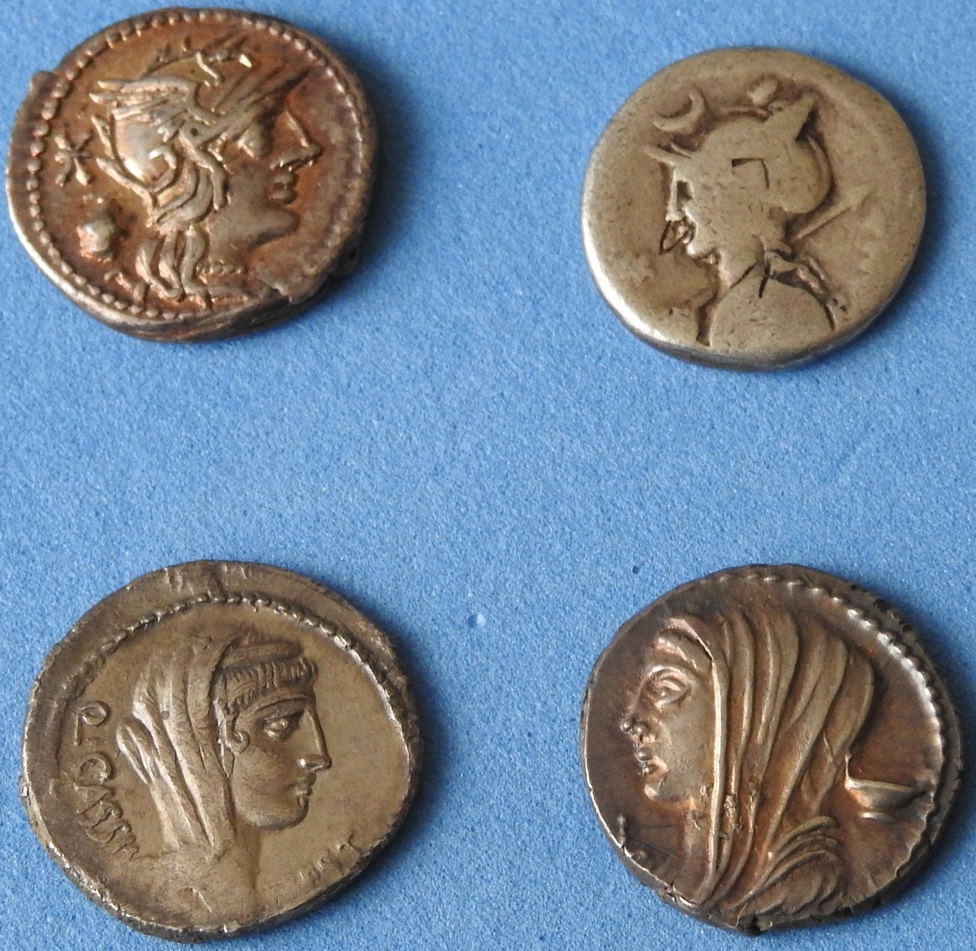 DSCN3201.JPG
