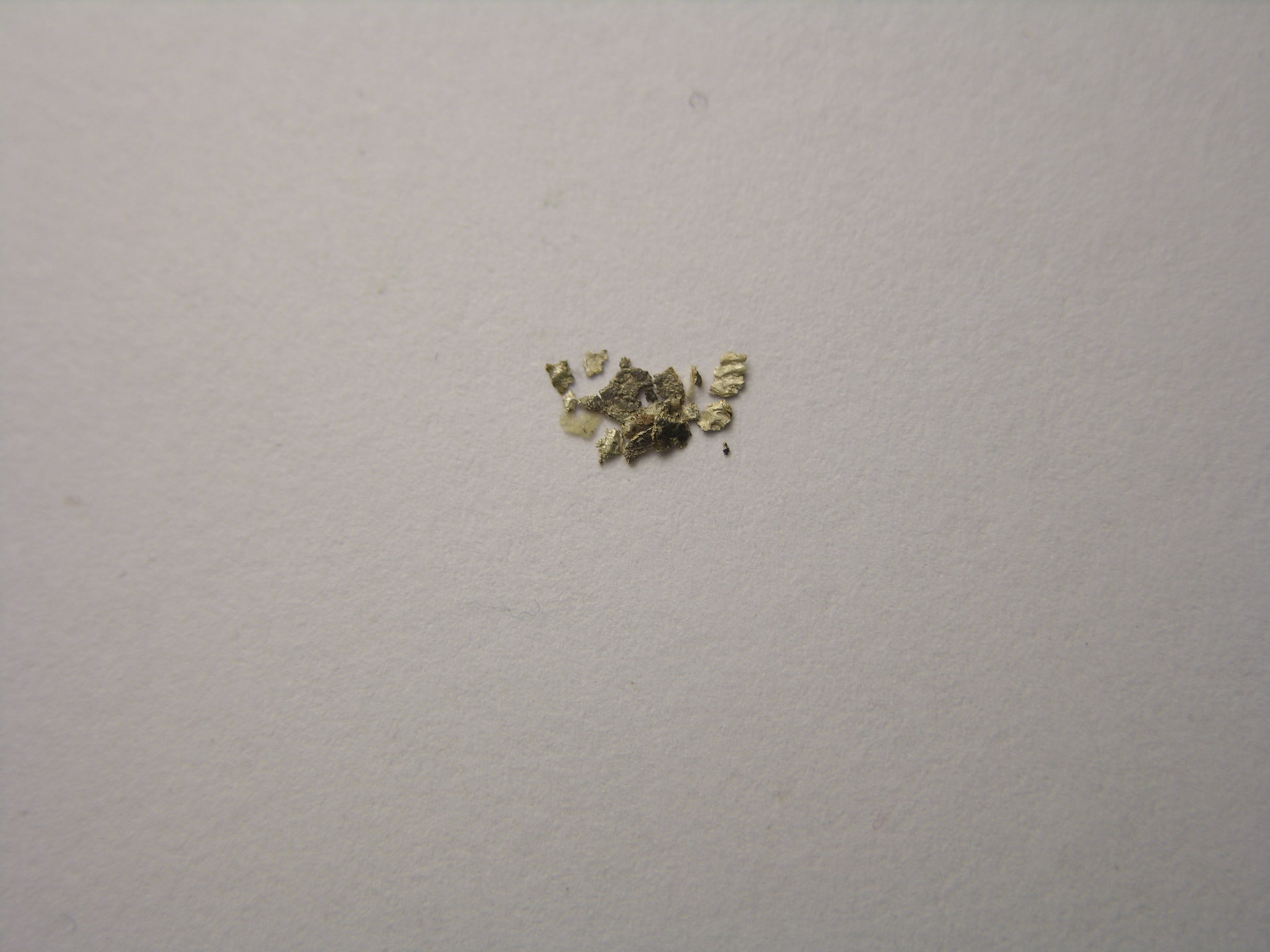 DSCN3245.JPG