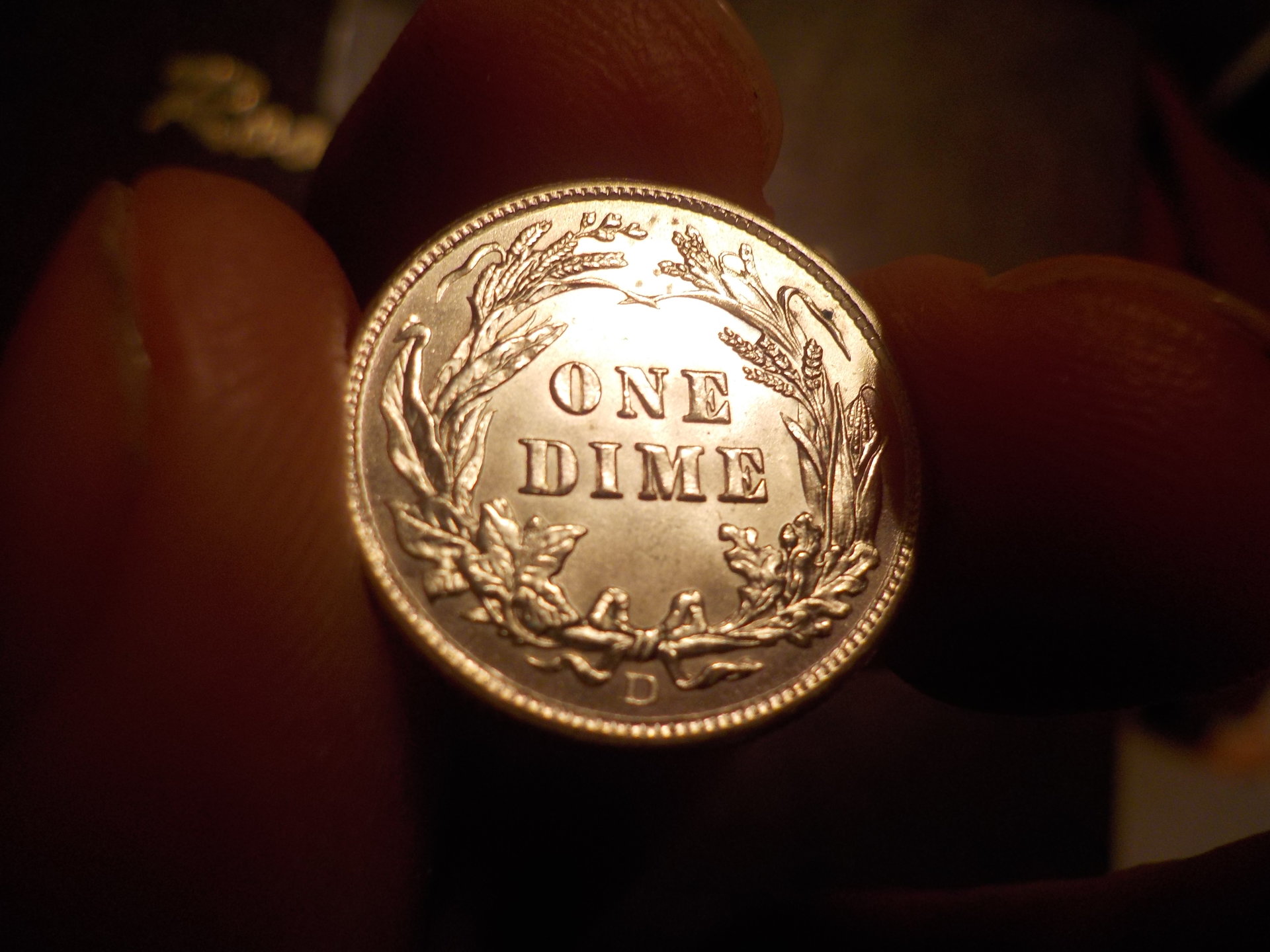 DSCN3288.JPG