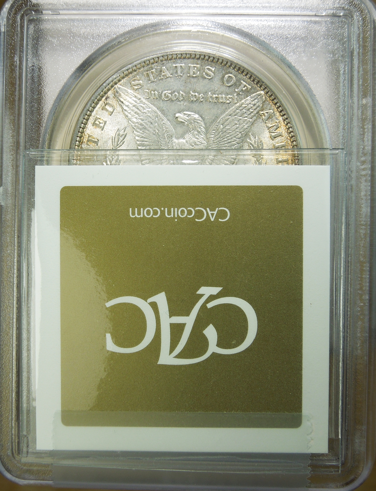 DSCN3304.JPG