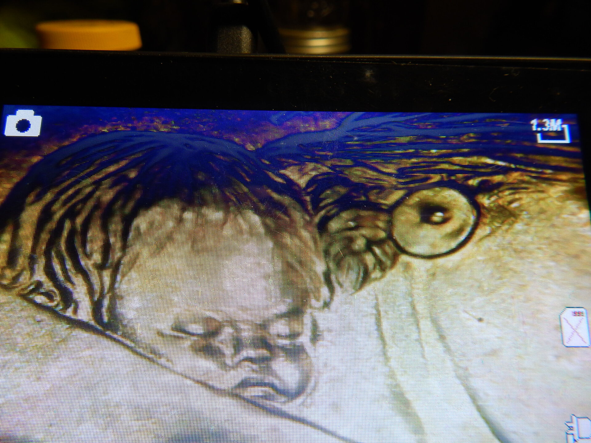 DSCN3352.JPG
