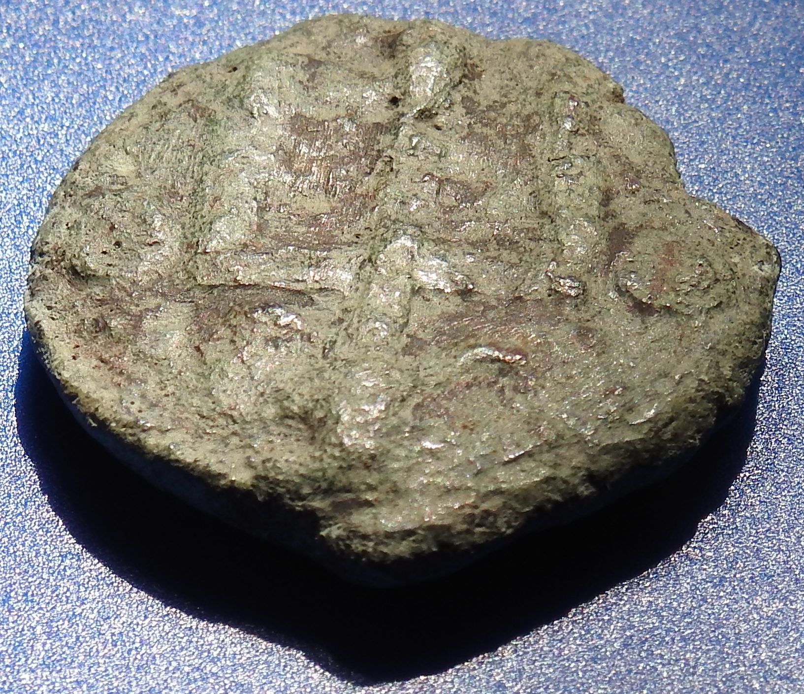 DSCN3953.JPG