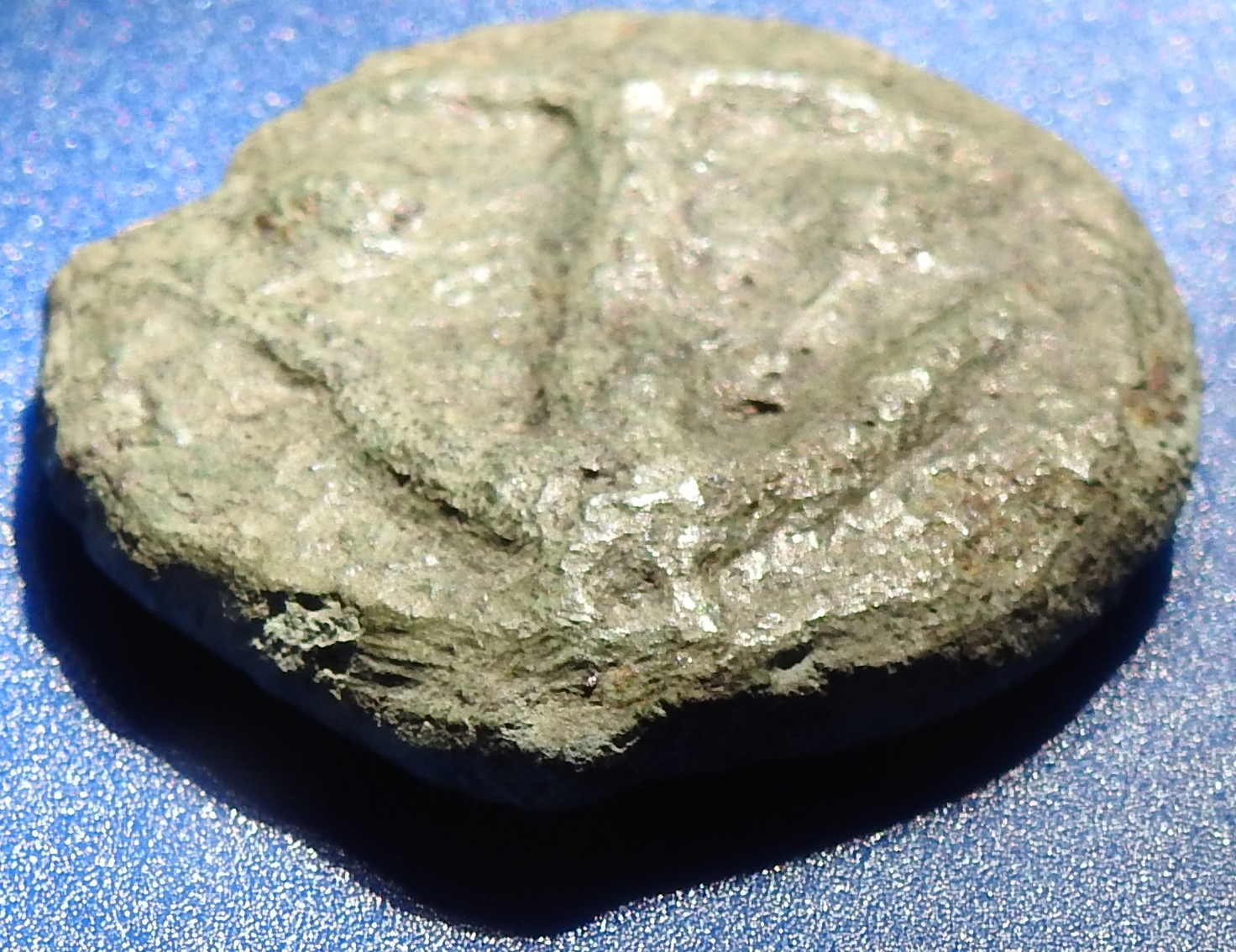 DSCN3954.JPG