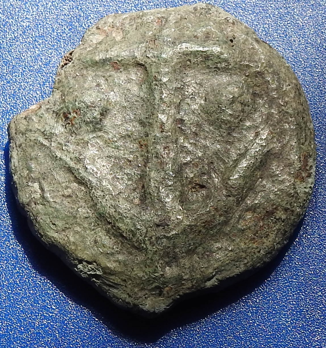 DSCN3955.JPG