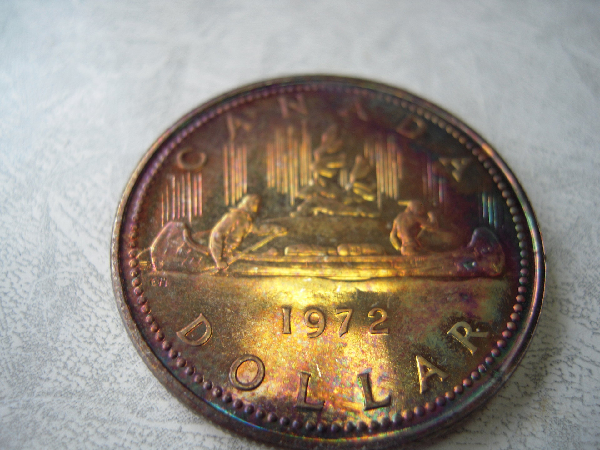 DSCN4088.JPG