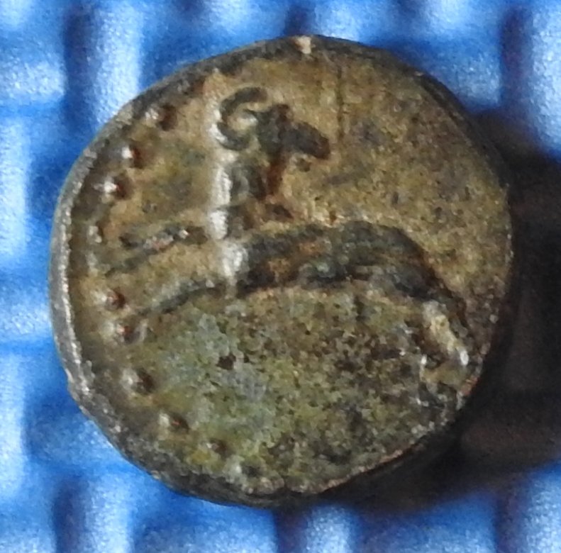 DSCN4238.JPG