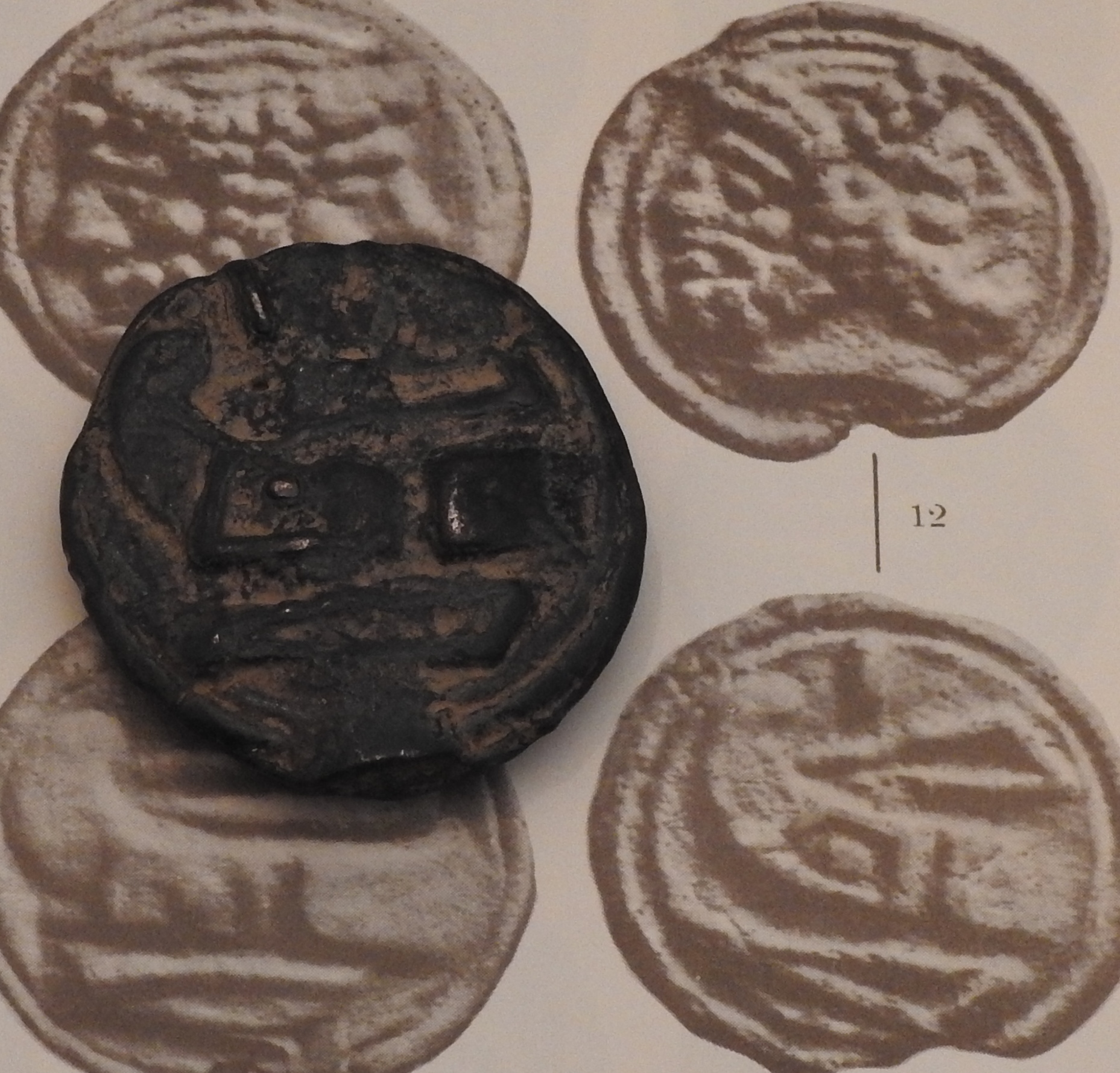 DSCN4273.JPG