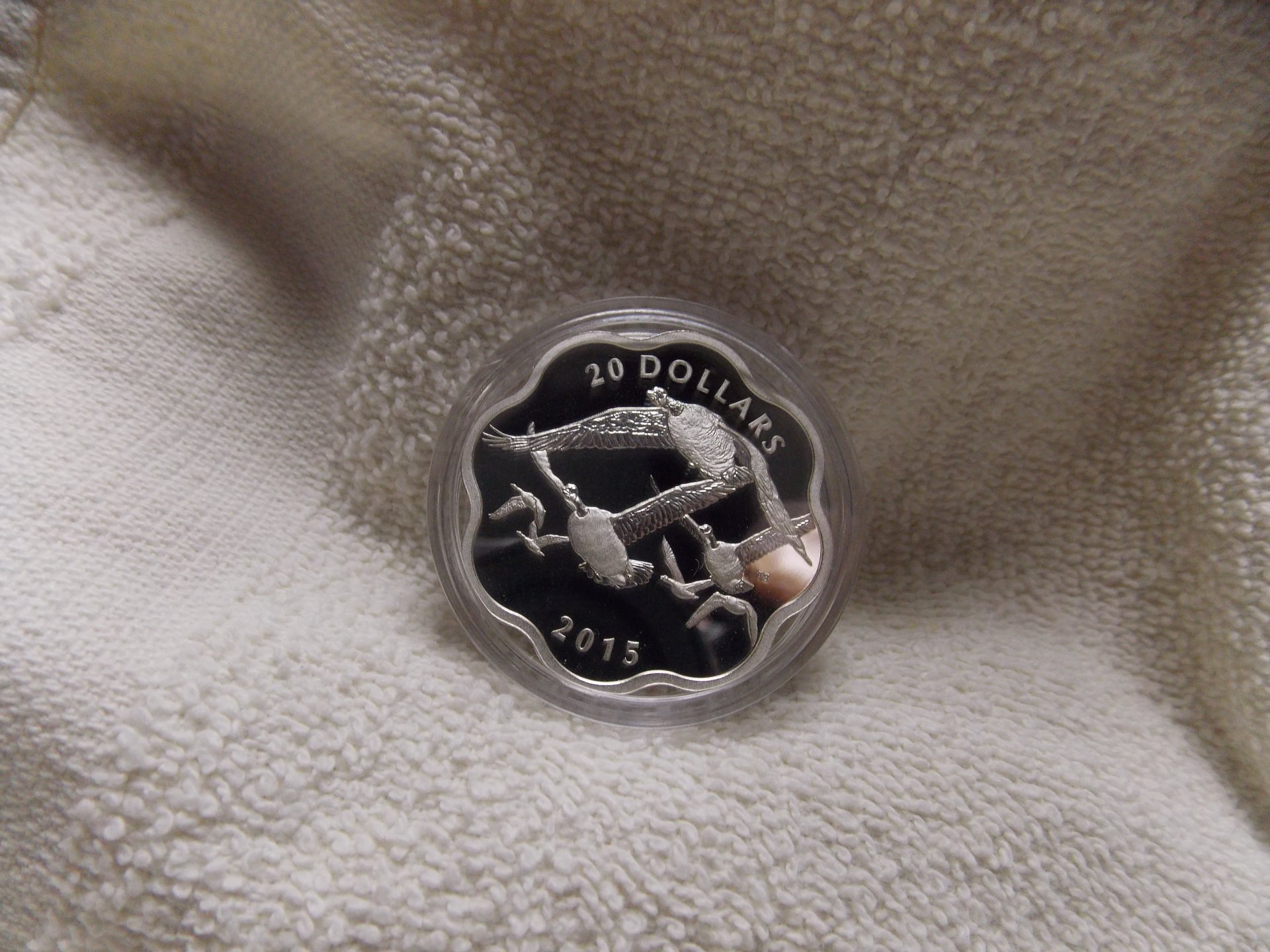 DSCN4318.JPG