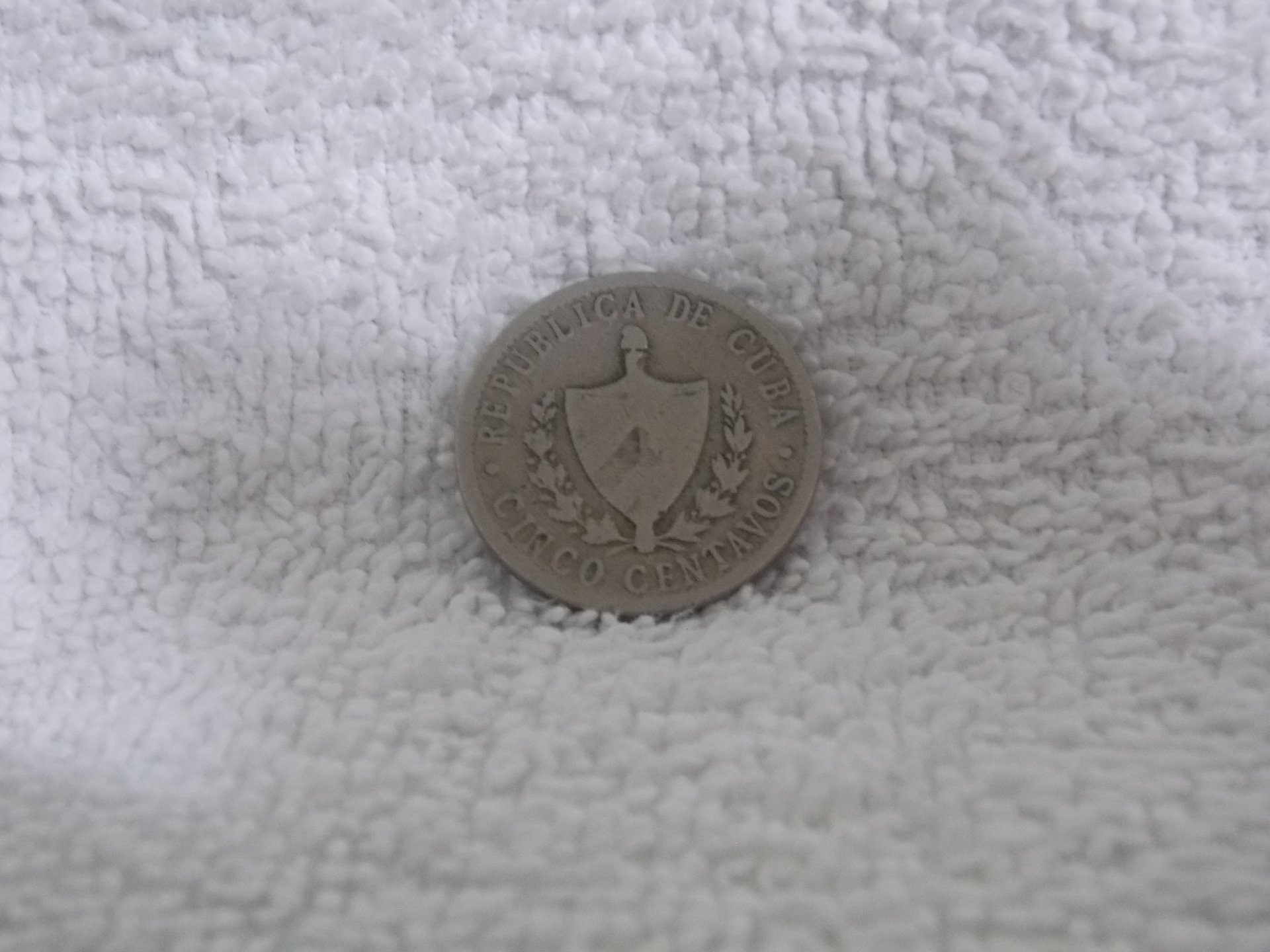 DSCN4371.JPG