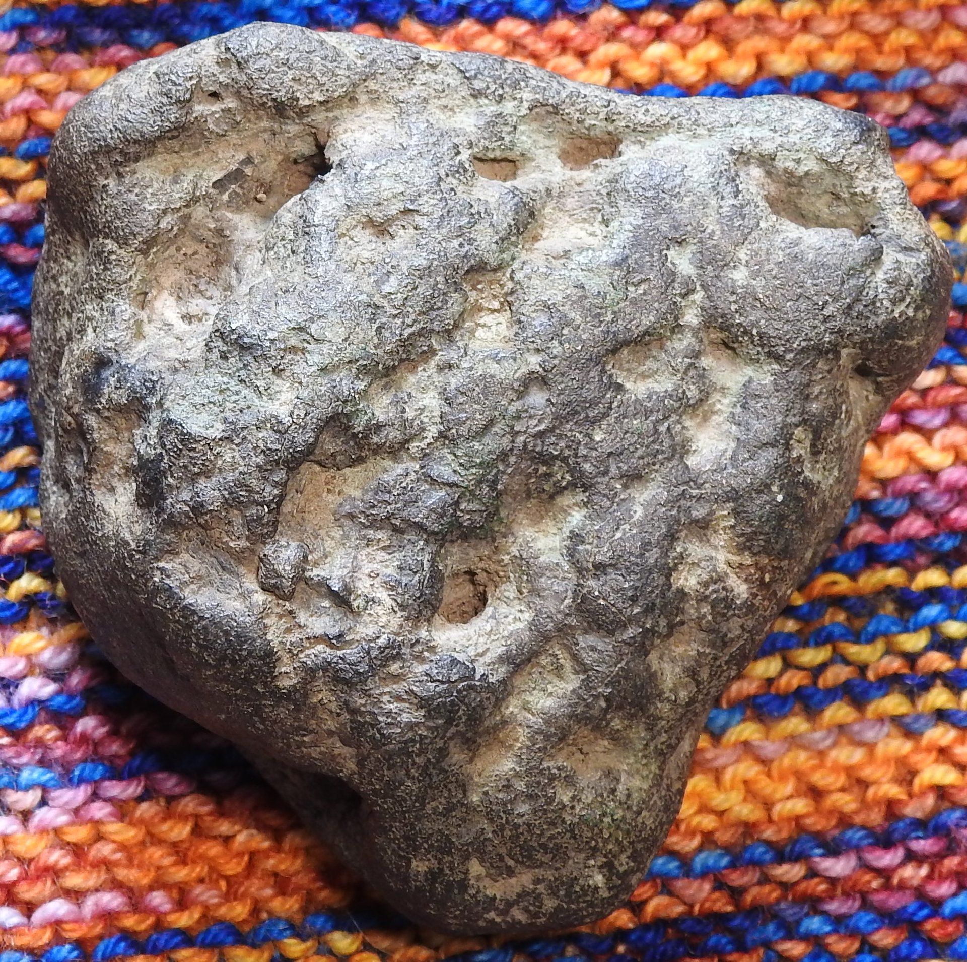 DSCN4492.JPG