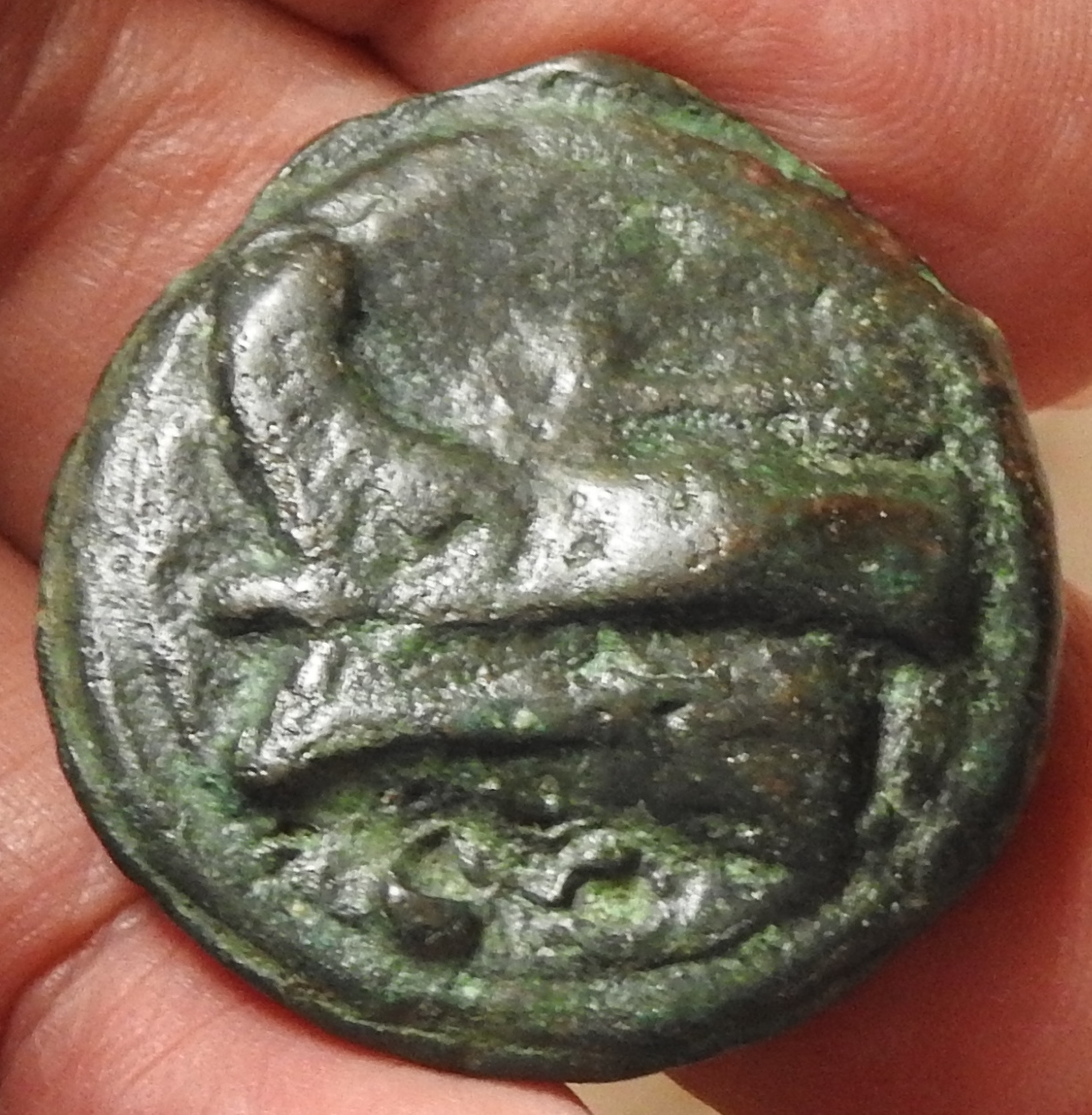 DSCN4521.JPG