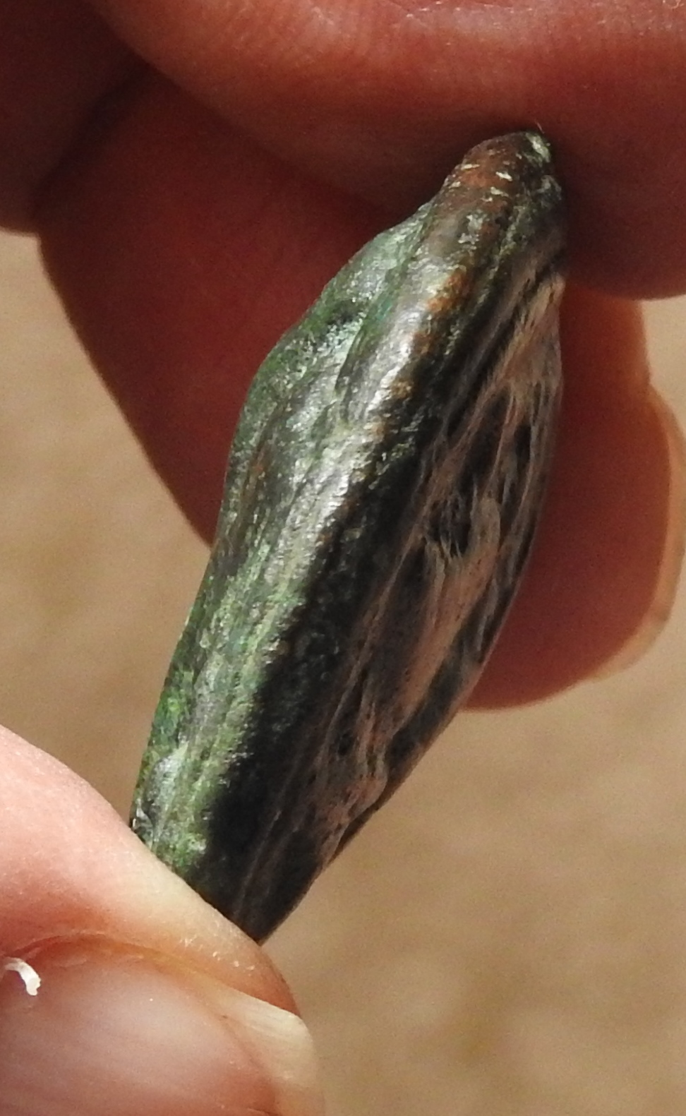 DSCN4522.JPG