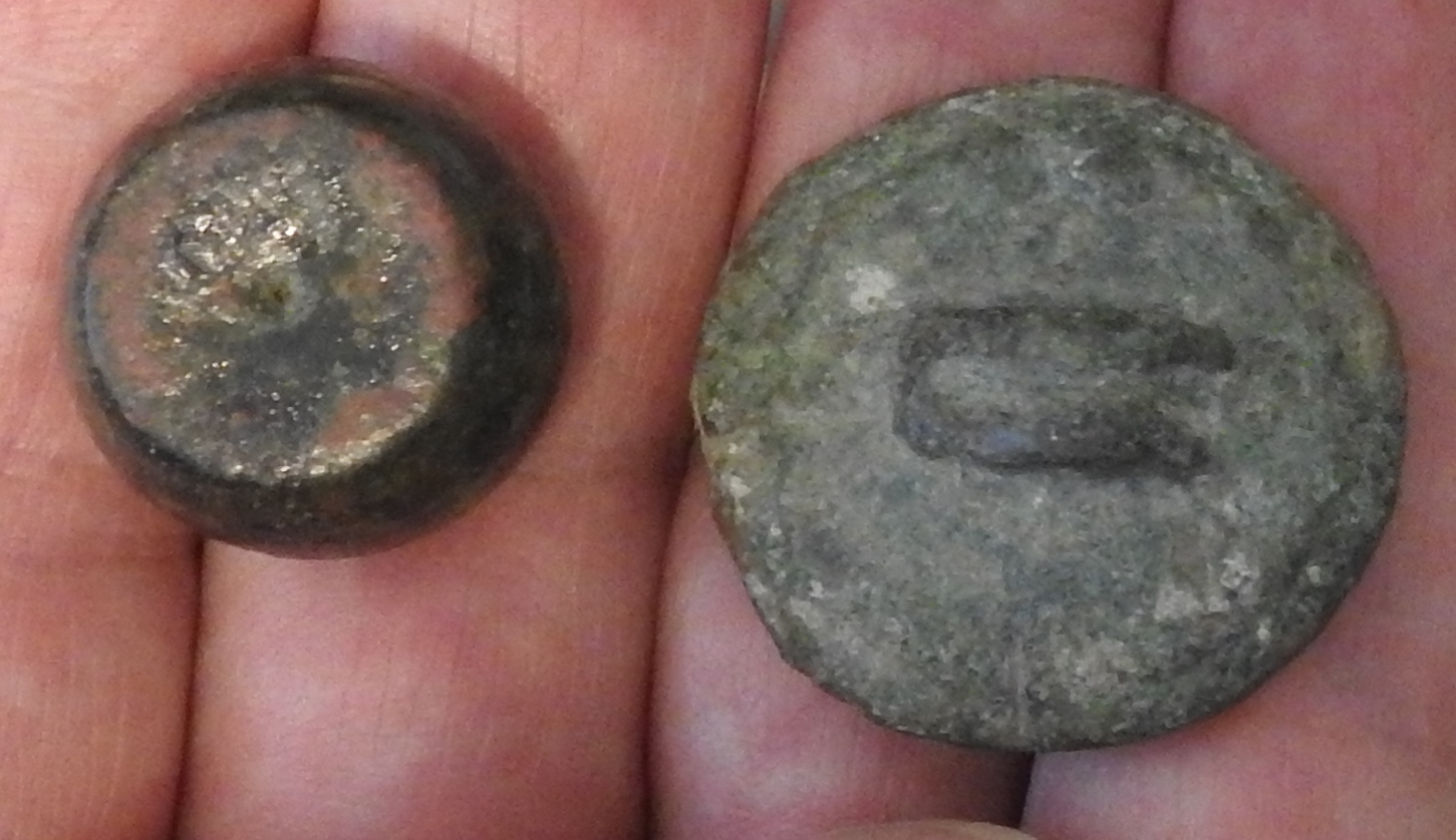 DSCN4530.JPG