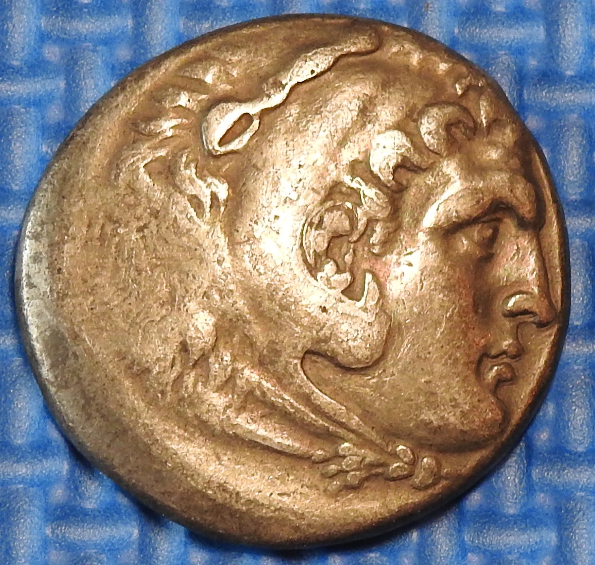 DSCN4563.JPG