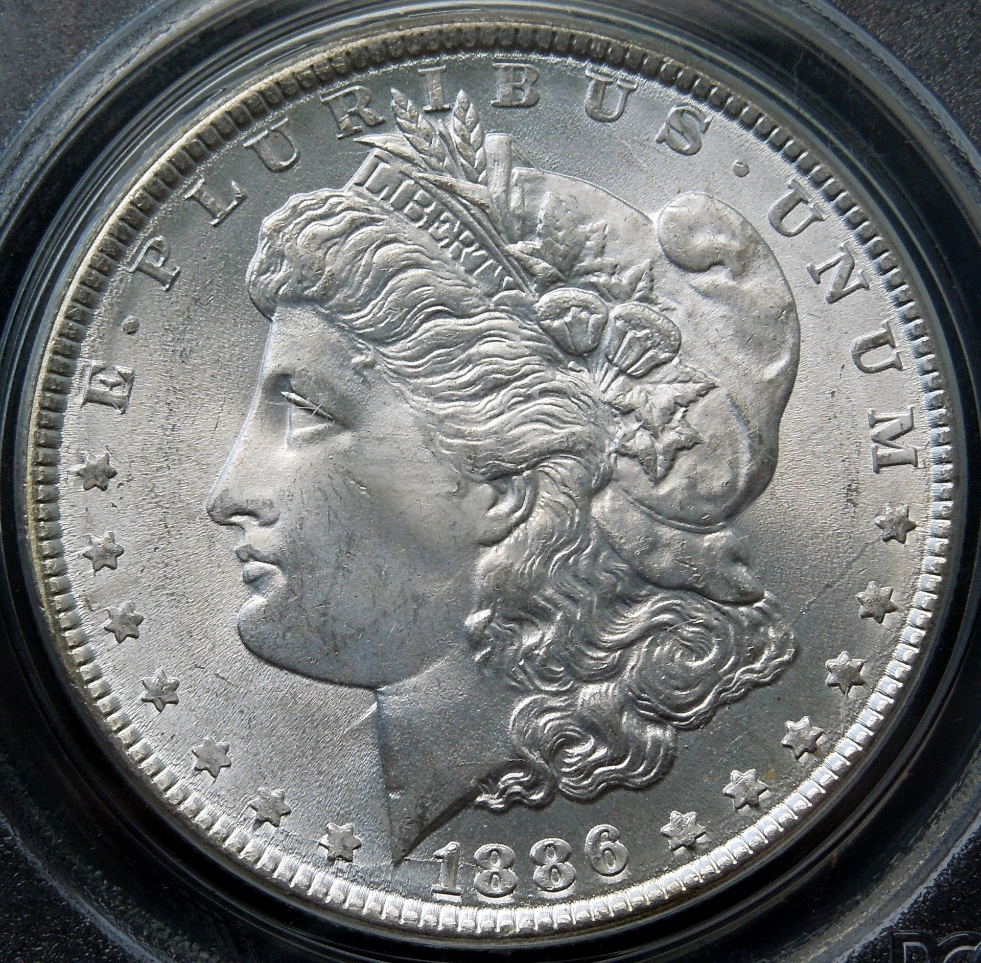 DSCN4590.JPG