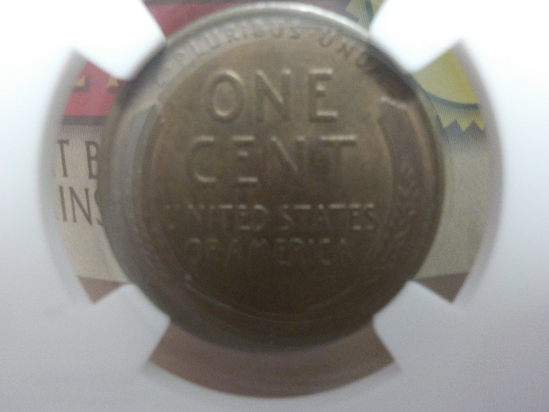 DSCN4714.JPG