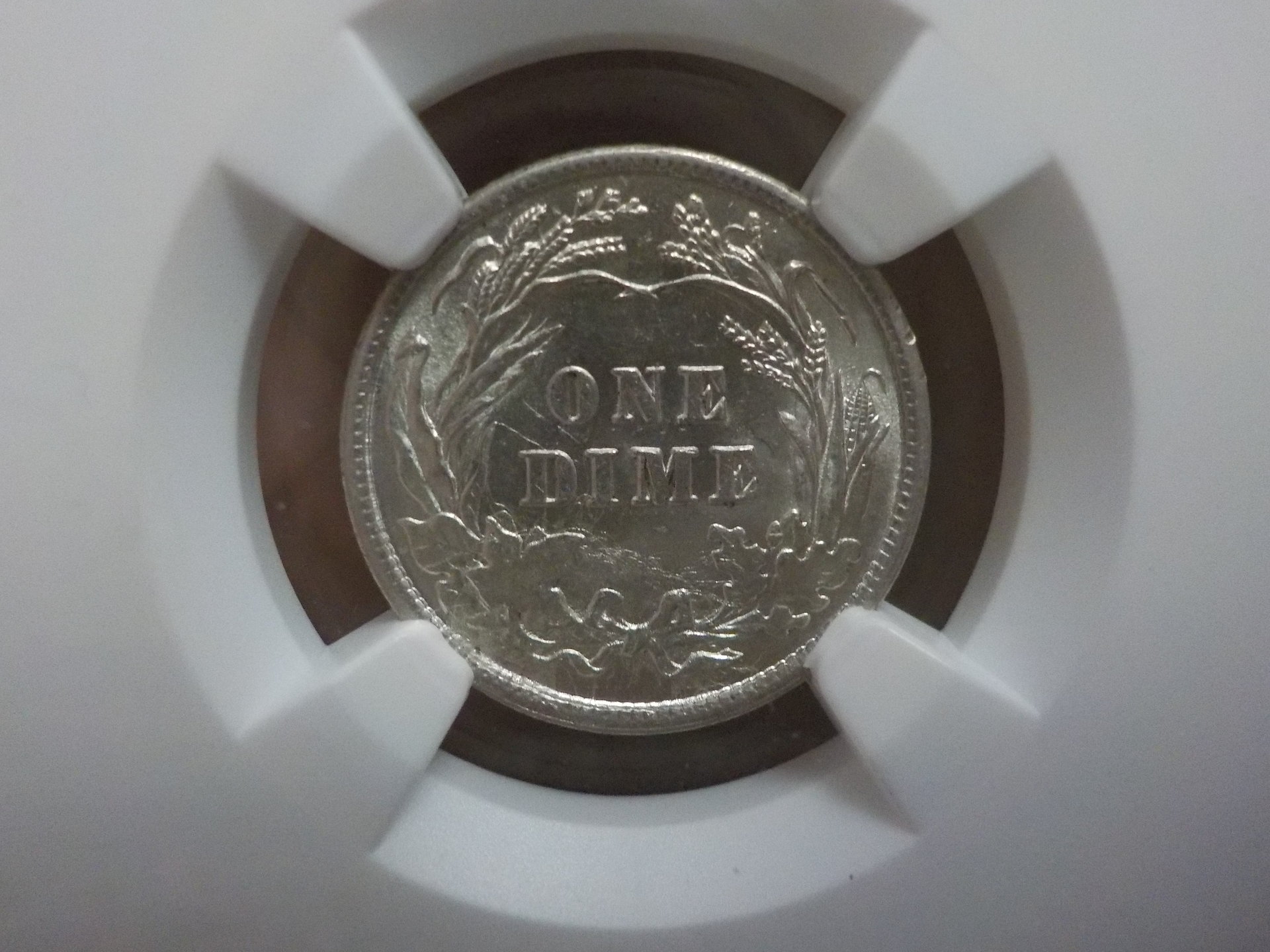 DSCN4735.JPG