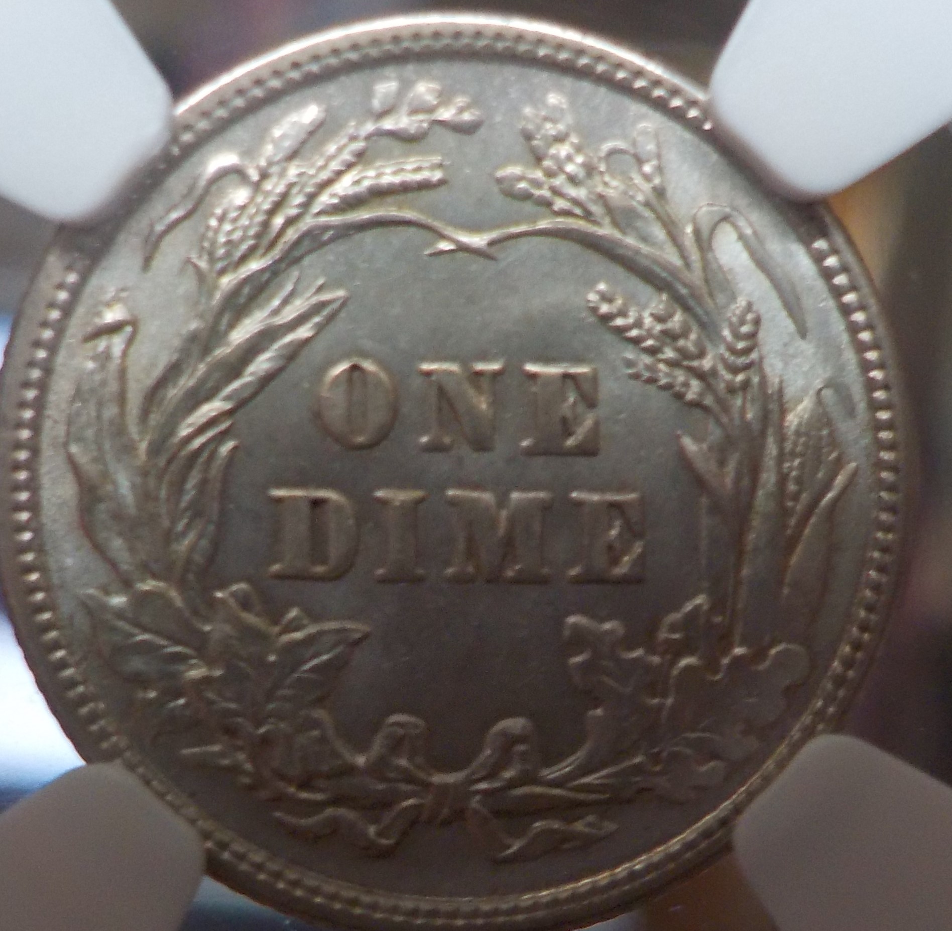 DSCN4749.jpg