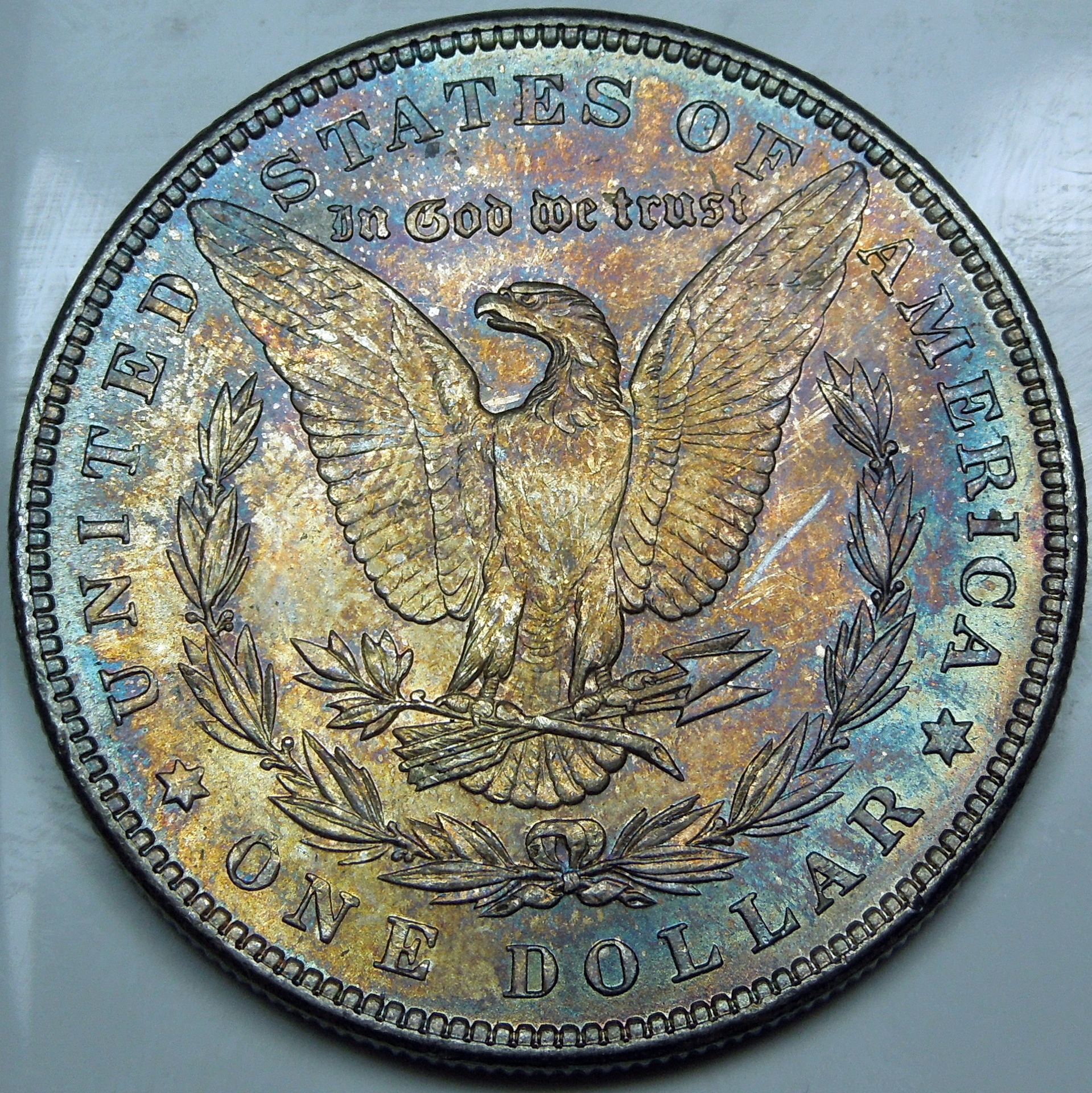 DSCN4802.JPG