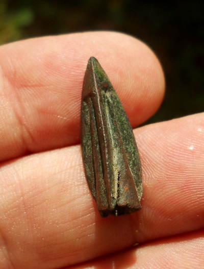 DSCN5028.JPG