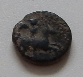 DSCN5077.JPG