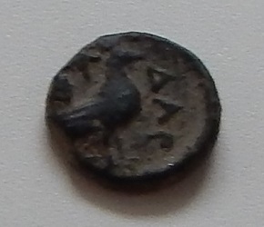 DSCN5079.JPG