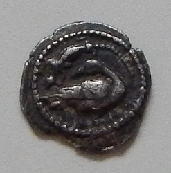 DSCN5080.JPG