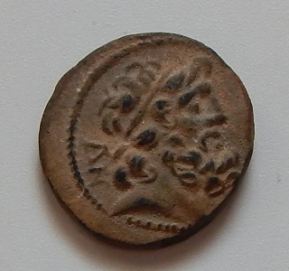 DSCN5084.JPG