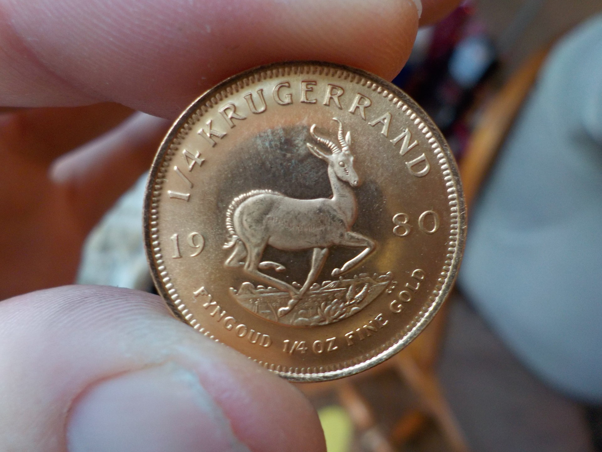 DSCN5091.JPG