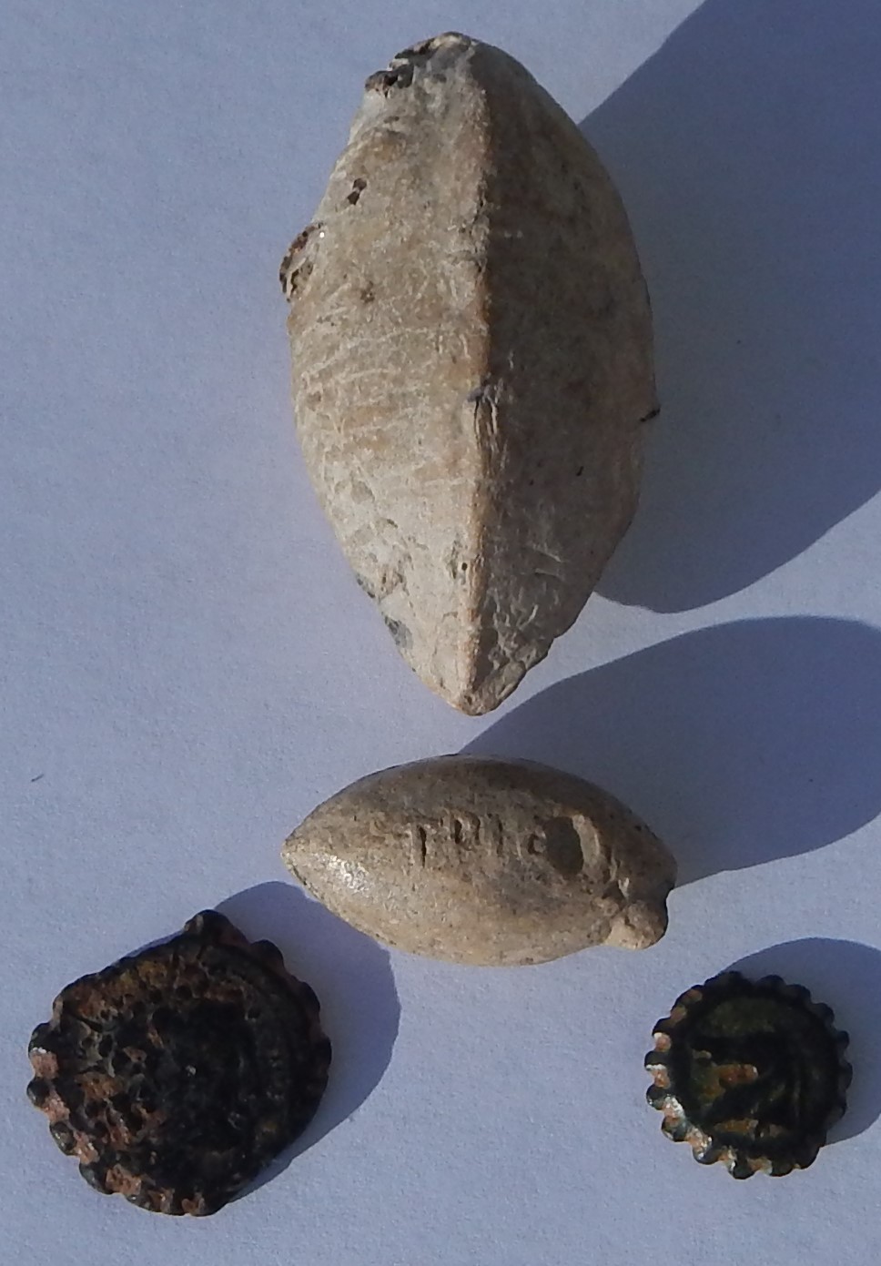 DSCN5138.JPG