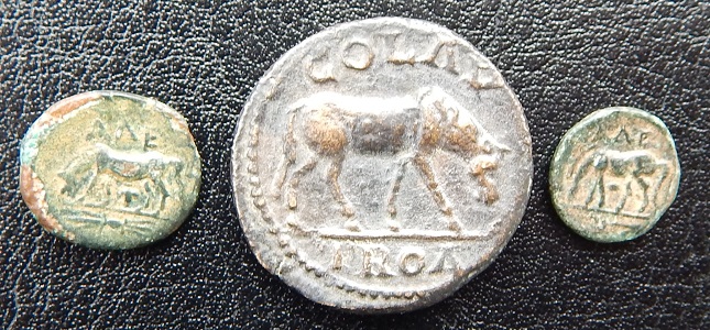 DSCN5308.JPG