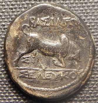 DSCN5466.JPG
